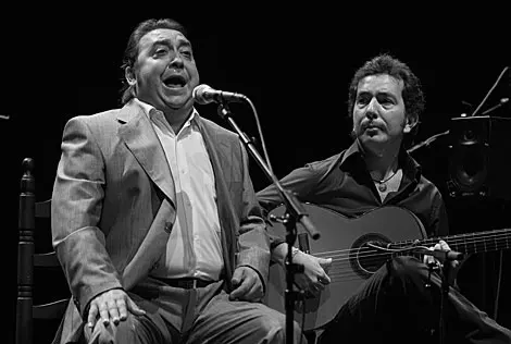 ACF Fernando Terremoto